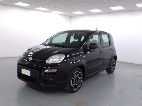 Annonce FIAT PANDA Hybride 2022 d'occasion 