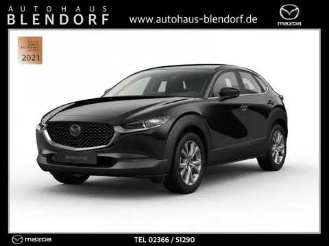 Used MAZDA CX-30 Petrol 2023 Ad 