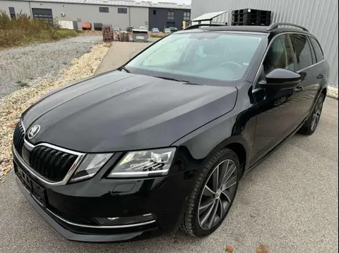 Annonce SKODA OCTAVIA Diesel 2019 d'occasion 