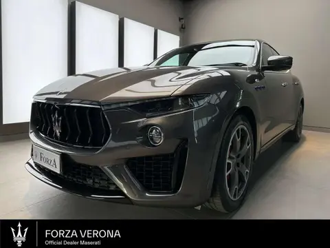 Used MASERATI LEVANTE Hybrid 2022 Ad 