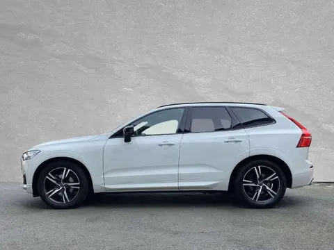 Used VOLVO XC60 Diesel 2019 Ad Germany