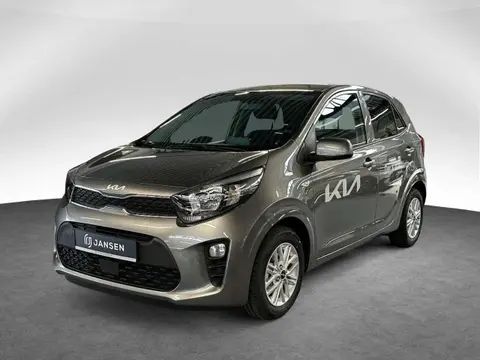 Used KIA PICANTO Petrol 2024 Ad 