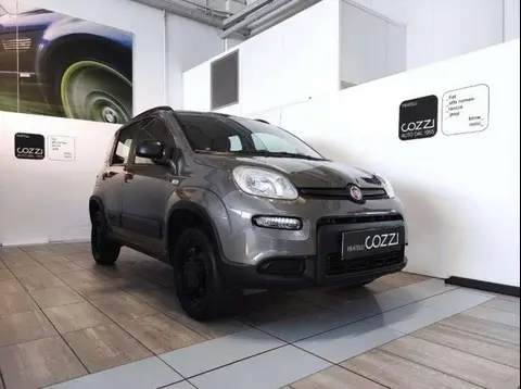 Annonce FIAT PANDA Essence 2022 d'occasion 