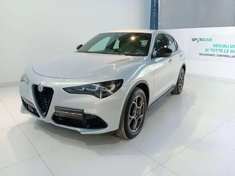 Used ALFA ROMEO STELVIO Diesel 2023 Ad 