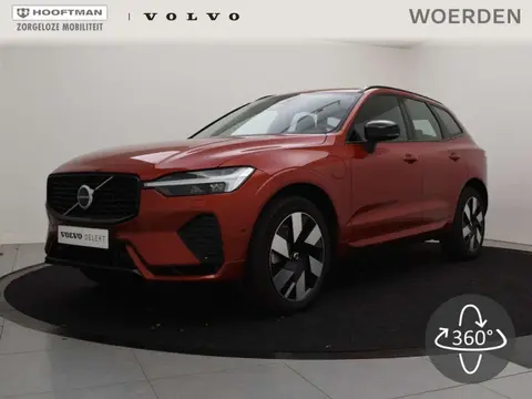 Annonce VOLVO XC60 Hybride 2024 d'occasion 