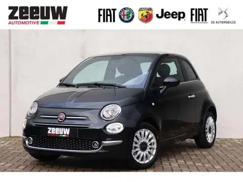 Used FIAT 500 Petrol 2024 Ad 