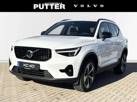 Used VOLVO XC40 Petrol 2024 Ad Germany