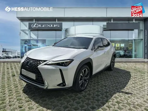 Annonce LEXUS UX  2020 d'occasion 