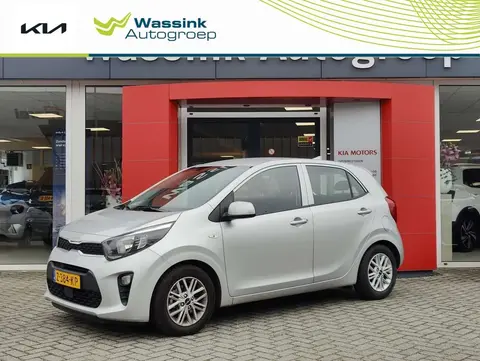 Used KIA PICANTO Petrol 2024 Ad 