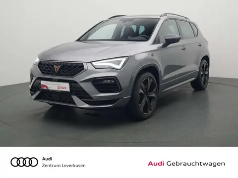 Annonce CUPRA ATECA Essence 2023 d'occasion 