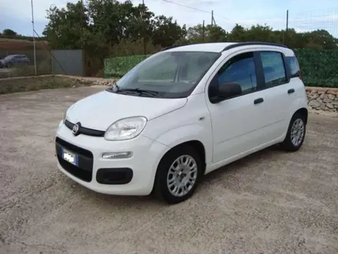 Annonce FIAT PANDA Diesel 2015 d'occasion 