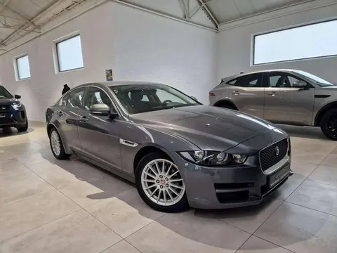 Used JAGUAR XE Diesel 2016 Ad 