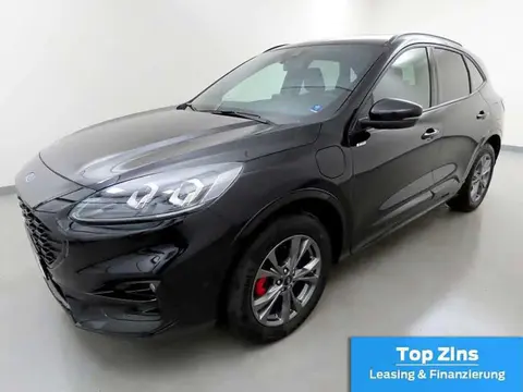 Used FORD KUGA Hybrid 2023 Ad 