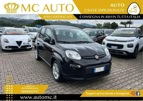 Annonce FIAT PANDA Hybride 2024 d'occasion 