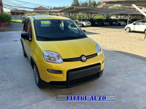 Used FIAT PANDA Hybrid 2024 Ad 