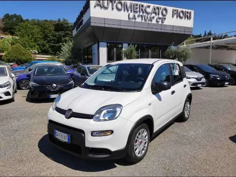 Used FIAT PANDA Hybrid 2024 Ad 