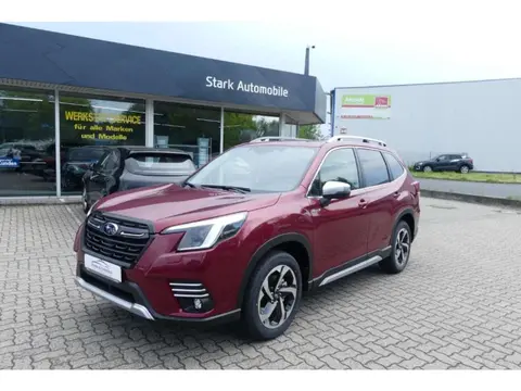 Annonce SUBARU FORESTER Essence 2024 d'occasion 