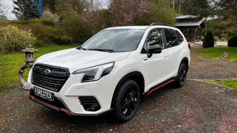 Used SUBARU FORESTER Hybrid 2024 Ad 