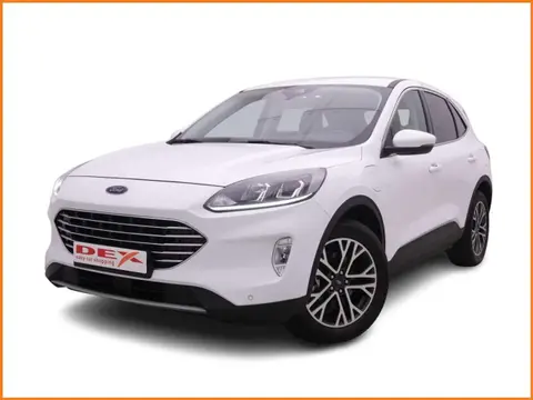 Used FORD KUGA Hybrid 2021 Ad Belgium