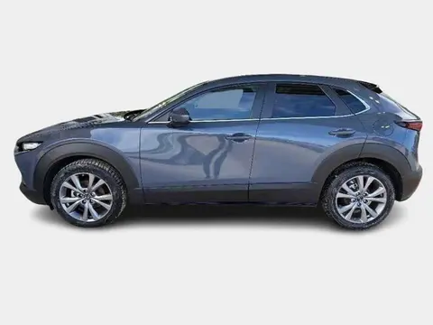 Annonce MAZDA CX-30 Hybride 2023 d'occasion 