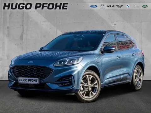 Annonce FORD KUGA Hybride 2022 d'occasion 