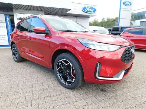 Annonce FORD KUGA Hybride 2024 d'occasion 