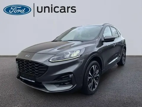 Used FORD KUGA Hybrid 2022 Ad 