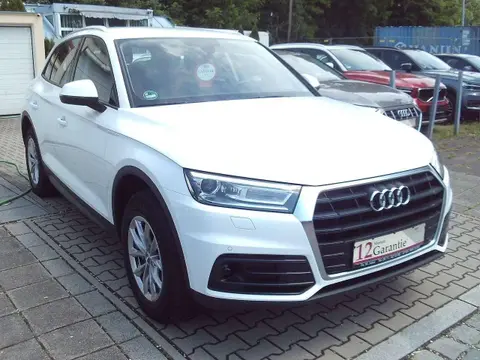 Used AUDI Q5 Diesel 2019 Ad 