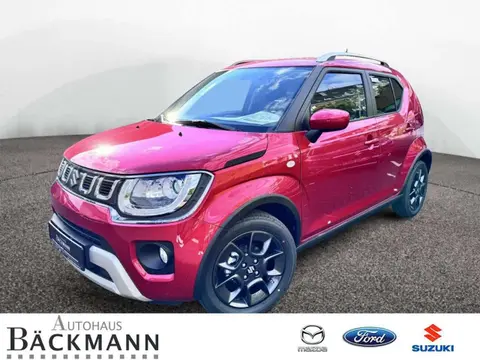 Used SUZUKI IGNIS Petrol 2024 Ad 