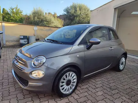 Used FIAT 500 Hybrid 2021 Ad 