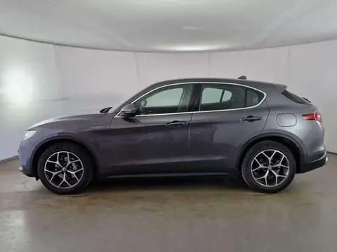 Used ALFA ROMEO STELVIO Diesel 2021 Ad 