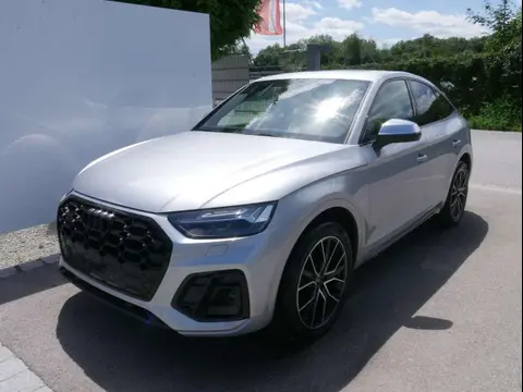 Annonce AUDI SQ5 Diesel 2024 d'occasion 