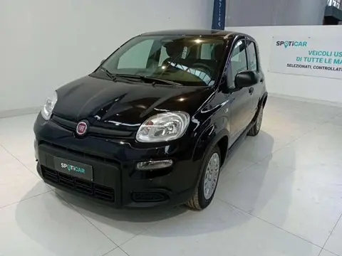 Annonce FIAT PANDA Hybride 2024 d'occasion 