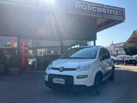 Annonce FIAT PANDA Hybride 2022 d'occasion 