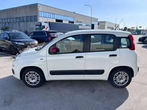 Used FIAT PANDA Petrol 2016 Ad 