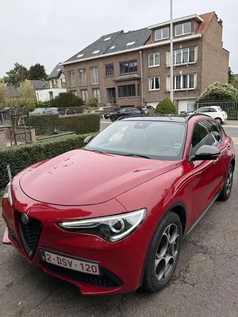 Used ALFA ROMEO STELVIO Diesel 2019 Ad 