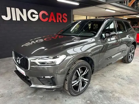 Used VOLVO XC60 Diesel 2019 Ad 