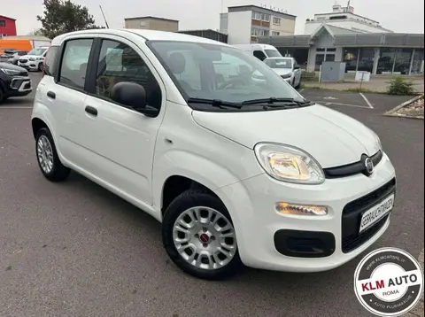 Used FIAT PANDA Petrol 2020 Ad 