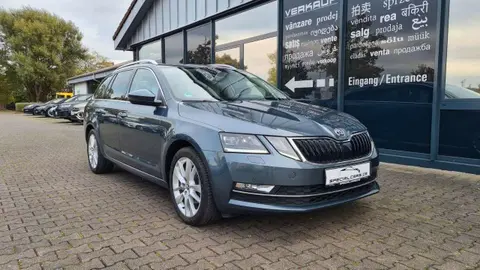 Annonce SKODA OCTAVIA Diesel 2019 d'occasion 