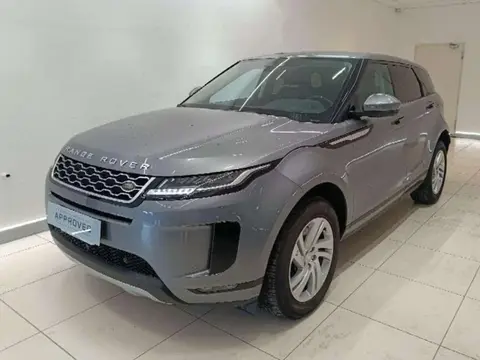 Used LAND ROVER RANGE ROVER EVOQUE Hybrid 2019 Ad 