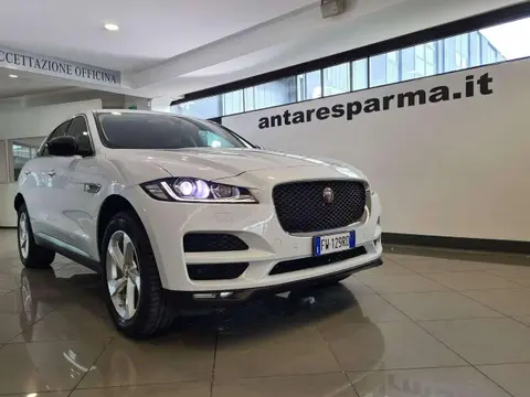 Used JAGUAR F-PACE Diesel 2019 Ad 