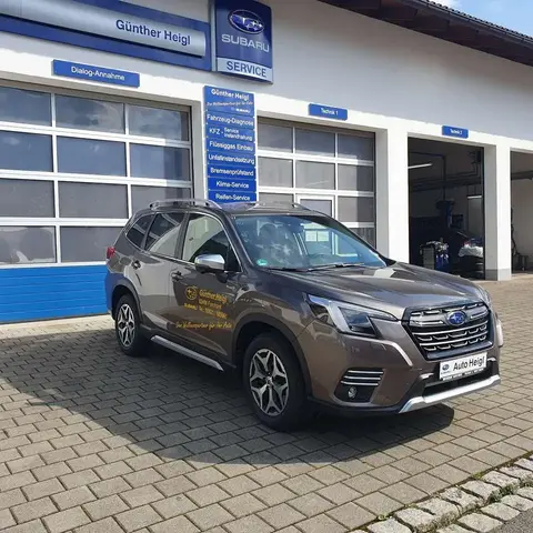 Used SUBARU FORESTER Petrol 2022 Ad 