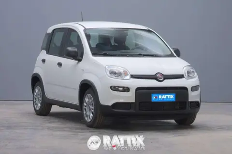 Annonce FIAT PANDA Hybride 2024 d'occasion 