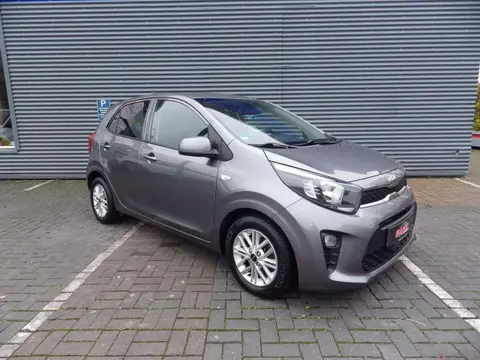 Used KIA PICANTO Petrol 2021 Ad 