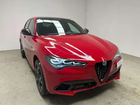 Used ALFA ROMEO STELVIO Diesel 2024 Ad 