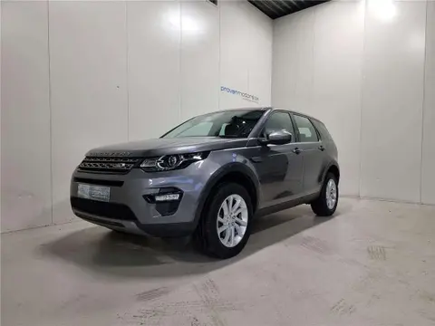 Used LAND ROVER DISCOVERY Diesel 2017 Ad Belgium