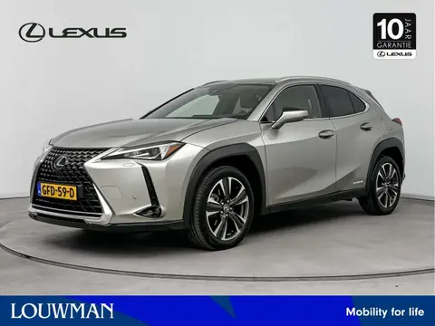 Used LEXUS UX Hybrid 2019 Ad 