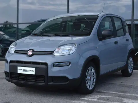 Used FIAT PANDA Hybrid 2022 Ad 