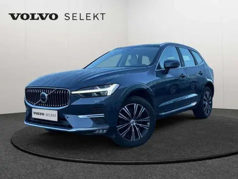 Annonce VOLVO XC60 Diesel 2022 d'occasion 