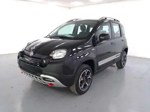 Used FIAT PANDA Petrol 2023 Ad 